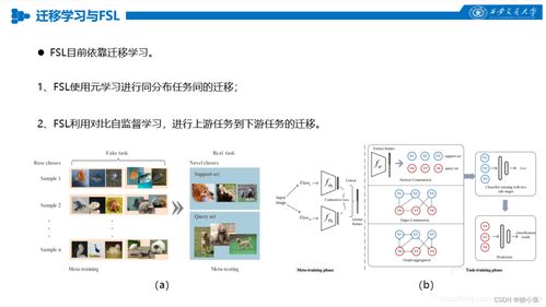 人工智能中的對(duì)比學(xué)習(xí) 算法原理與應(yīng)用探索